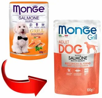 Monge dog grill
