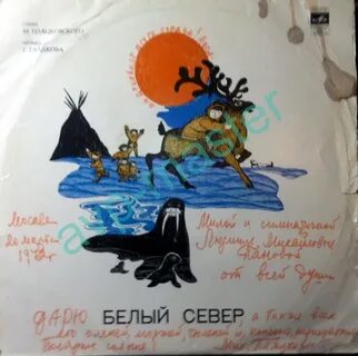 Песня северный не подведет