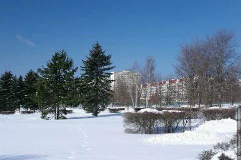 Зеленоград больница 3