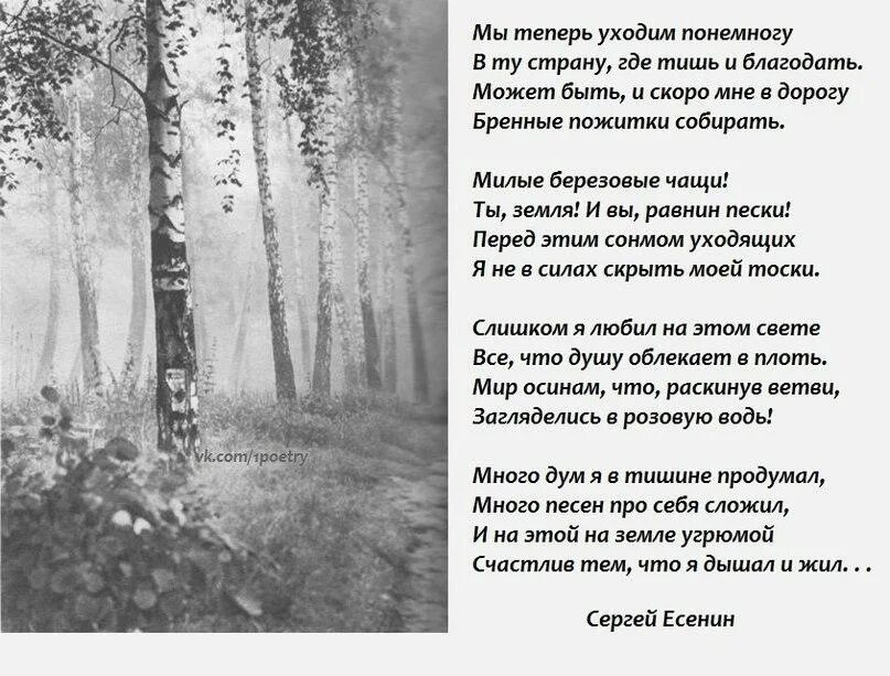 Мы теперь уходим понемногу в ту страну