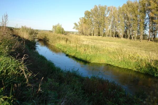 В грибановском селе Средний Карачан дорогу заасфальтировали за 5 млн рублей