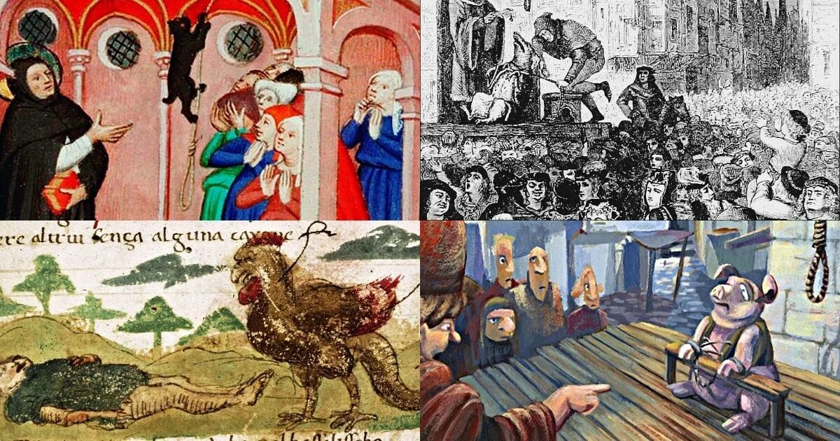 Судили животных. Судили животных