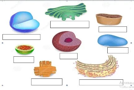 Шүберекпен стриптиз