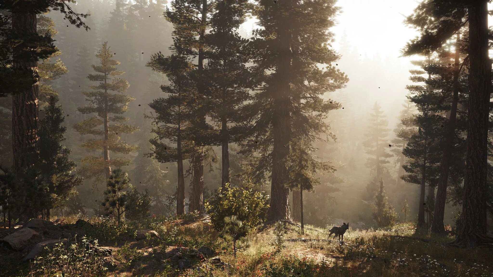 Far Cry 5 природа. Far Cry 5 лес. Far Cry 5 Landscape. Far Cry 5 пейзажи. Far lower
