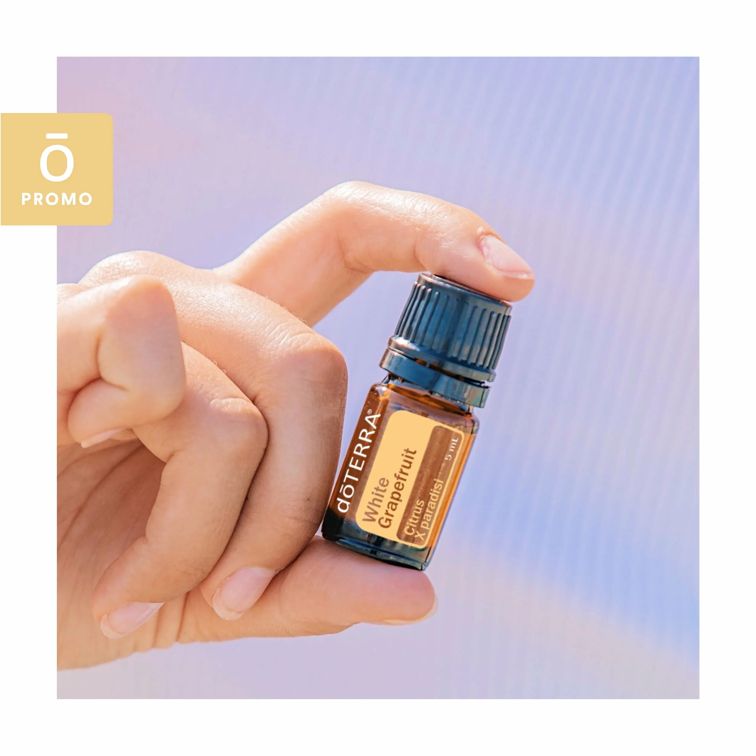 Белый грейпфрут дотерра. Грейпфрут дотерра. white grapefruit essential oil. grapefruit doterra. white grapefruit essential oil png.