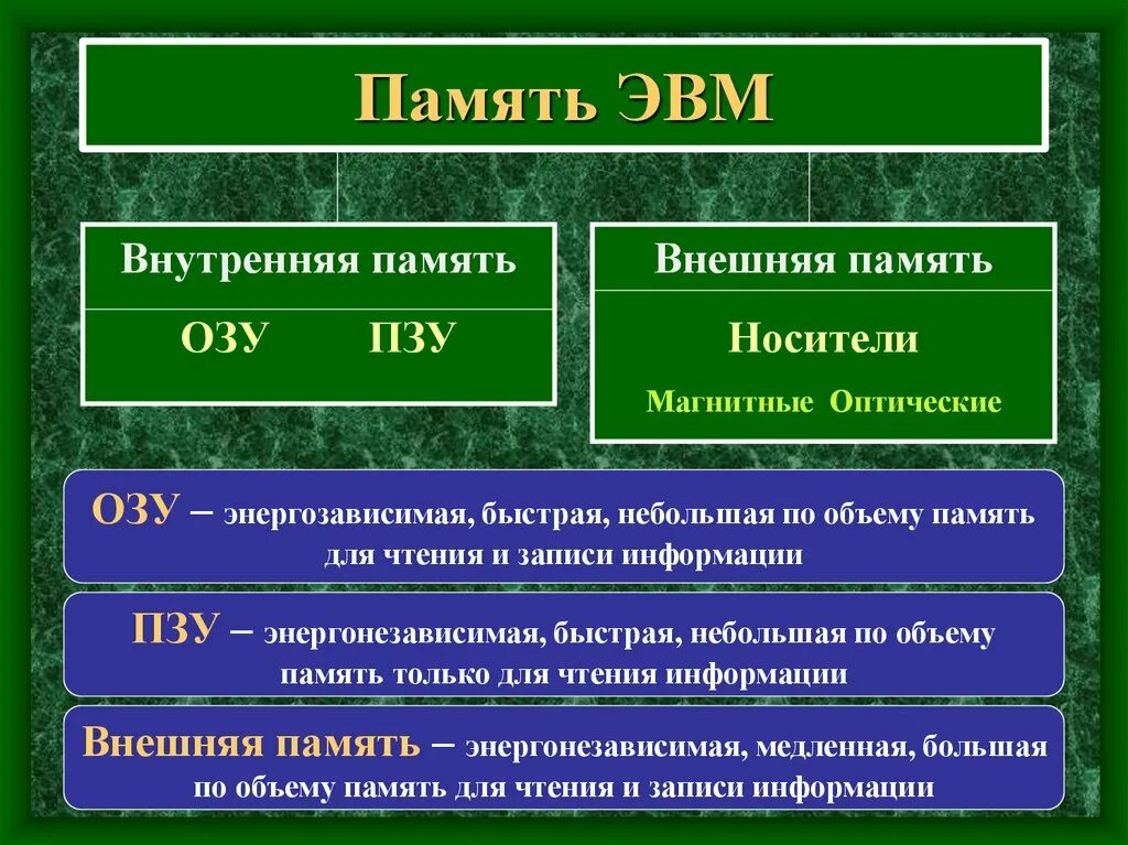 Тип основной памяти. Структура внутренней памяти компьютера схема. Память ЭВМ. Основная память ЭВМ. Внутренняя память ЭВМ.