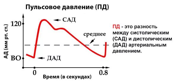 Давление на голодный