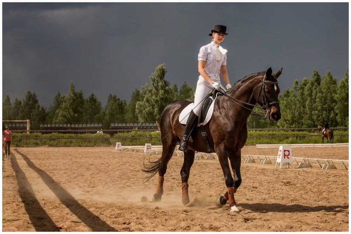 оусц планерная конный спорт. кск юность москвы. лозунг о конном спорте. конный спорт планерная. кск планерная троеборье.