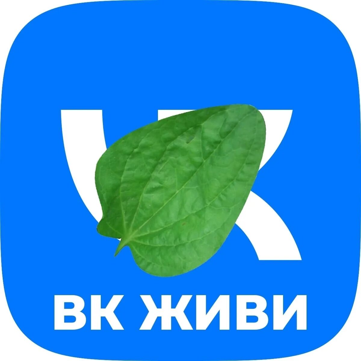 ВКОНТАКТЕ живи.