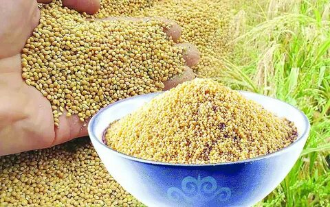 Менің бетімді уқалап отырып, порно көру