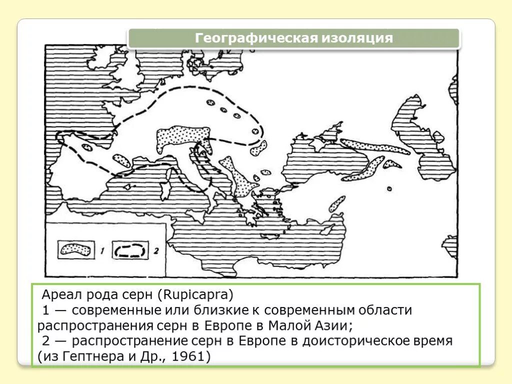 Ареал распространения серны. Географическая изоляция. Горный ареал. Географическая изоляция людей.