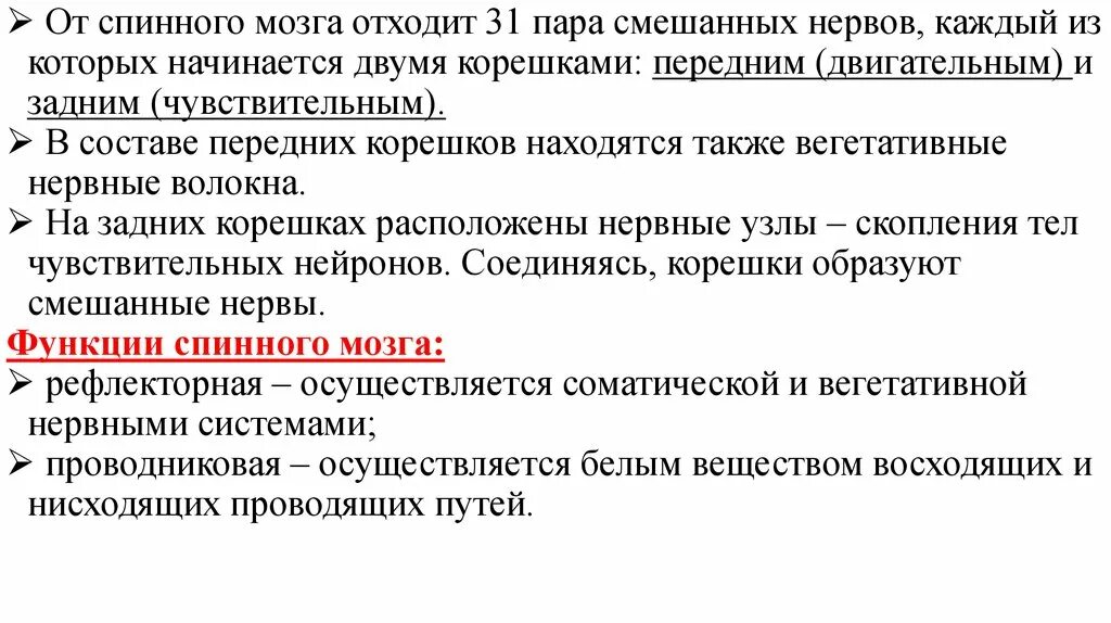 Сколько пар спинномозговых нервов отходят. От спинного мозга отходят пара смешанных нервов. Функции смешанных нервов. Смешанный нерв функции. От спинного мозга отходит 31 пара смешанных.