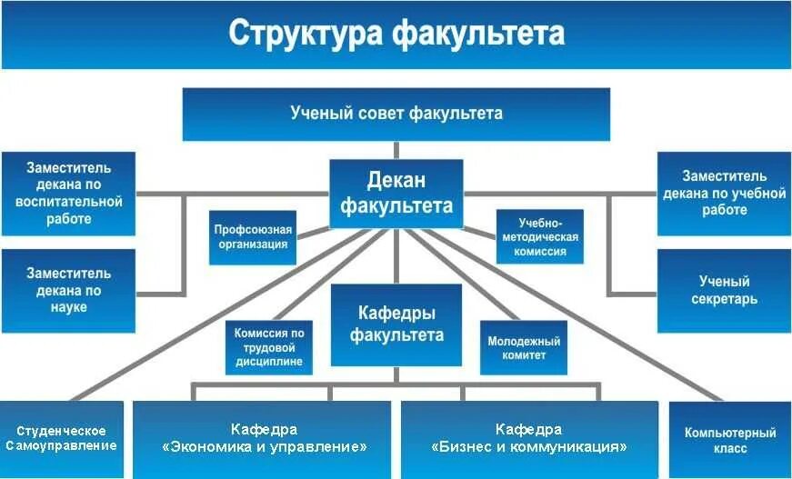 Организационная структура института схема. Организационная структура управления университета «СИНЕРГИЯ». Организационная структура факультета вуза. Иерархия в университете Факультет. Структура мгу