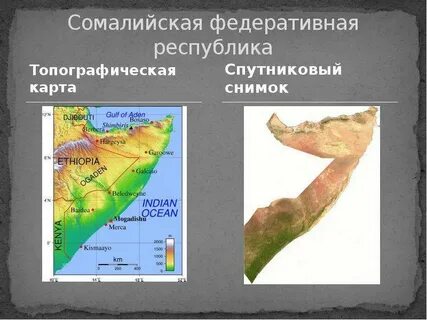 Описание сомали