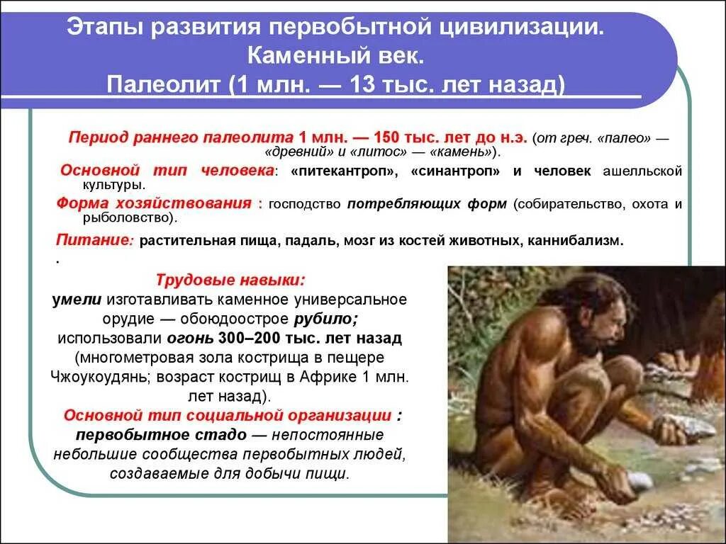 Исторические этапы эволюции. Этапы развития первобытного человека. палеолит. этапы развития человеческой цивилизации. этапы развития первобытной цивилизации.