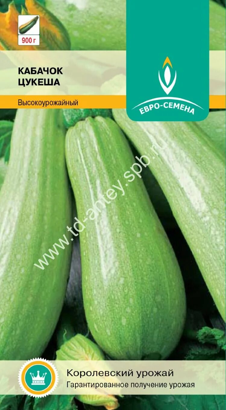 Цукеша кустовой сорта. Кабачок раннеспелый цукеша. Кабачок цукеша отзывы. Кабачок цуккини цукеша полосатый. Кабачок цукеша фото.