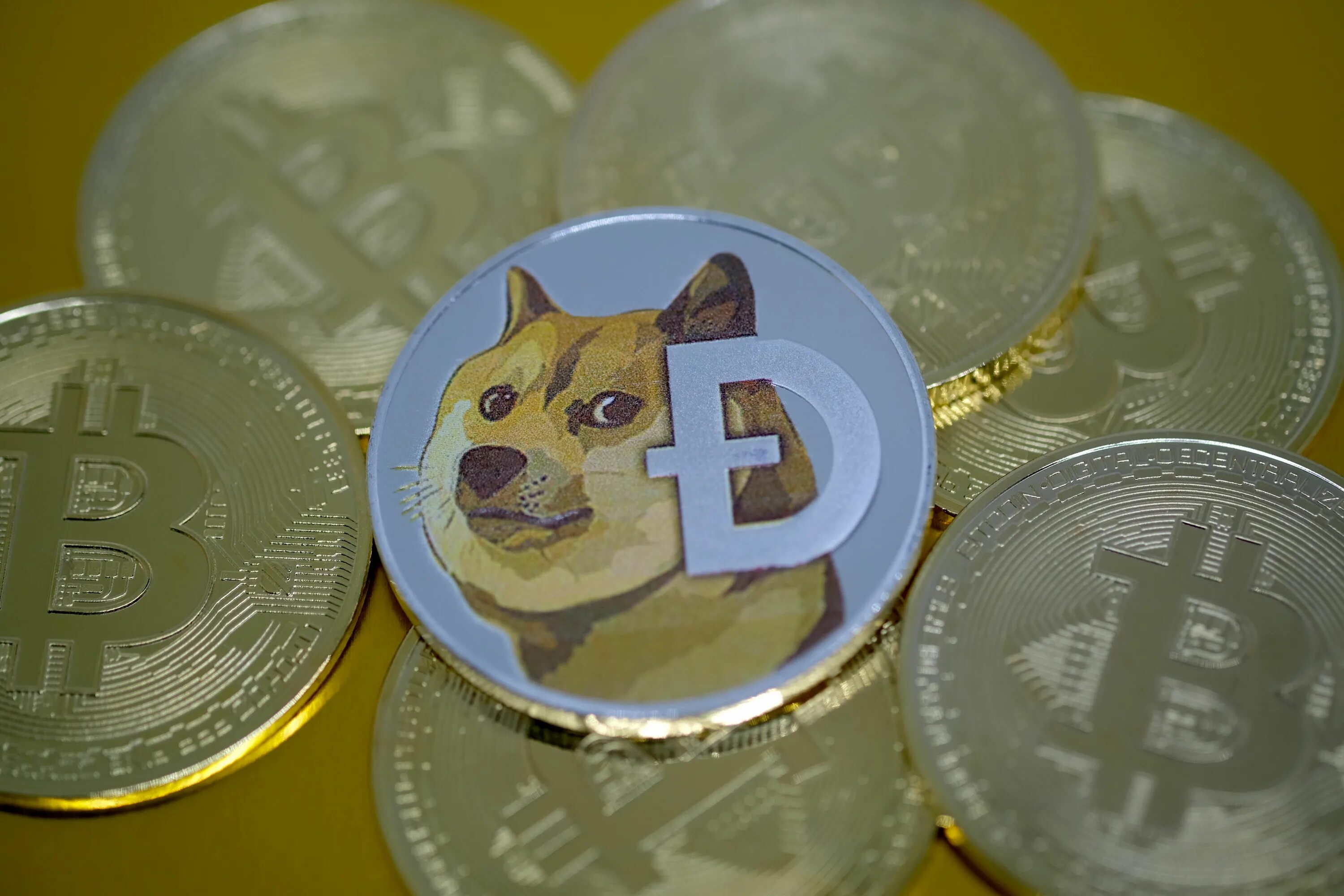 Bendog монета. Догкоин. Dogecoin монета. Dogecoin фото. Догкоин криптовалюта.