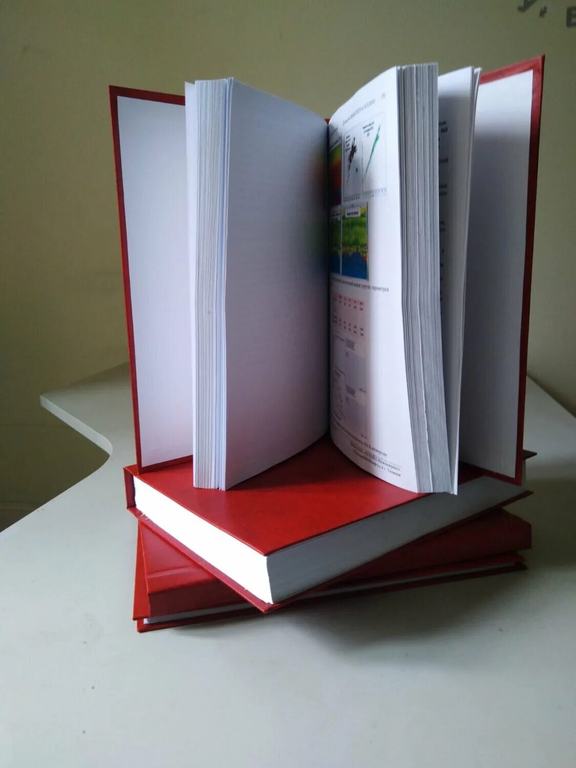 Твердый переплет диплома. Сброшюровать дипломную работу. Брошюровка листов а4 на пружину. Брошюровка документов на металлическую пружину. Переплести работы.