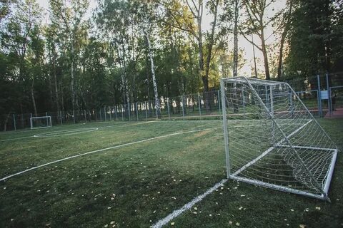 Поле в нижнем новгороде