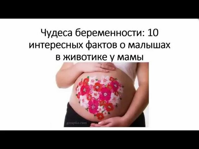 Факты о беременности. Интересные факты о беременности. Интересные факты про беременных. Интересные факты про беременных. Беременной цитаты.