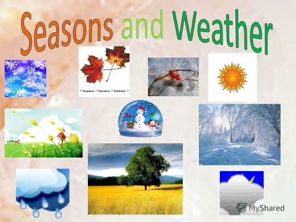 There are four seasons. Тема Seasons and weather. Английский язык Seasons. Времена года на английском. Урок на тему Seasons.