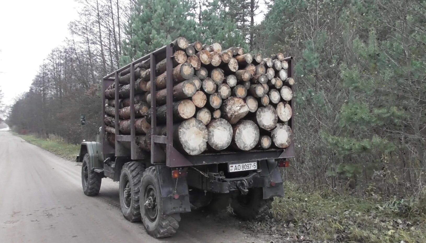 Куб метр леса. Куб метр леса