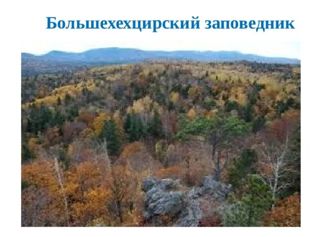 Большехехцирский заповедник фото 3 октября 60 лет назад создан Большехехци́рский запове́дник (Большехехци́рский го