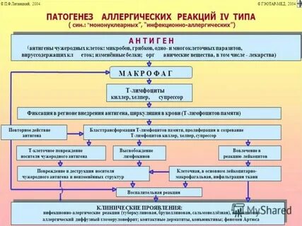 Типы лекарственных аллергий