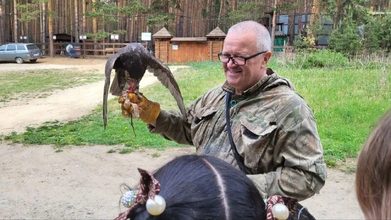 центра реабилитации хищных птиц