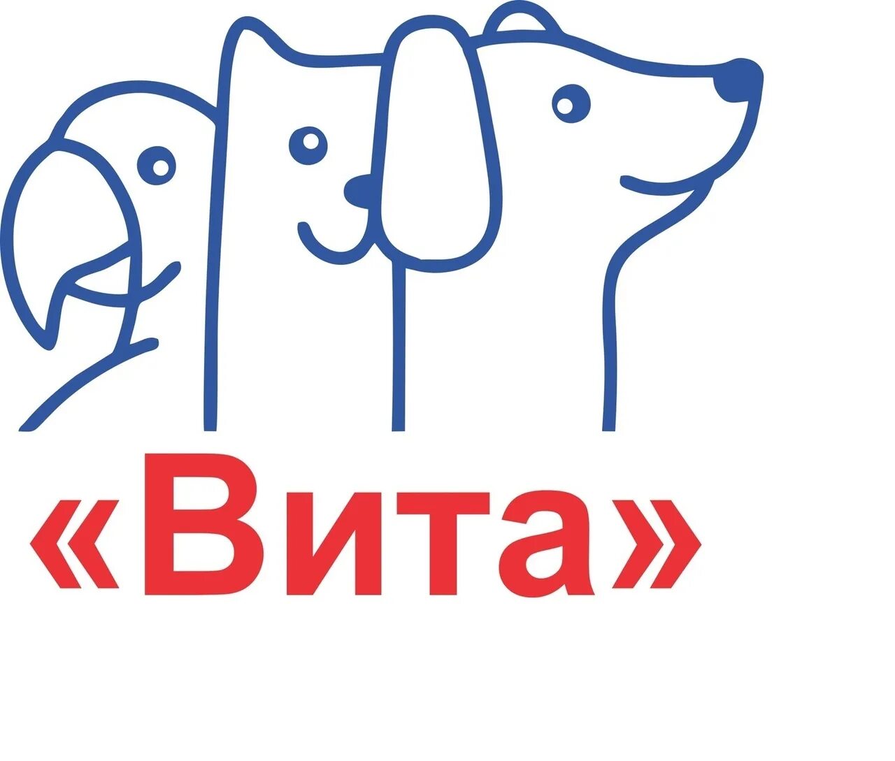 Ветавит. Витавет гатчина. Витавет караганда. Vita vet. Vitavet логотип.