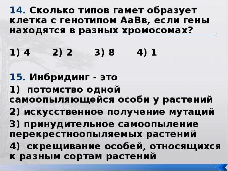 Какие типы гамет образует. Организм с генотипом ААВВ образует типы гамет. Сколько гамет образуют особи с генотипом ААВВ. Сколько типов гамет образуют организмы с генотипами. Организм с генотипом ААВВ образует.