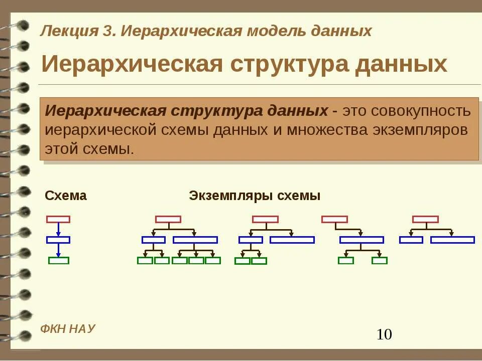 Модель иерархической структуры. Иерархическая модель. Иерархическая структура данных. Иерархическая модель данных: структура данных. Схема иерархической структуры.