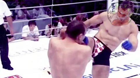 Бои мирко видео