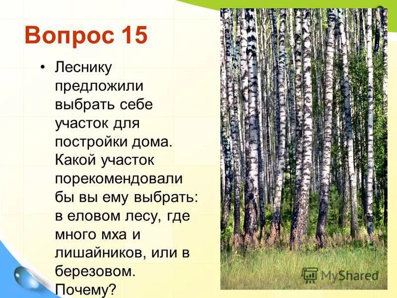профессия лесник для детей. лесничий профессия. лесничий профессия. вопросы бирюк тургенев. вопросы лесничему.