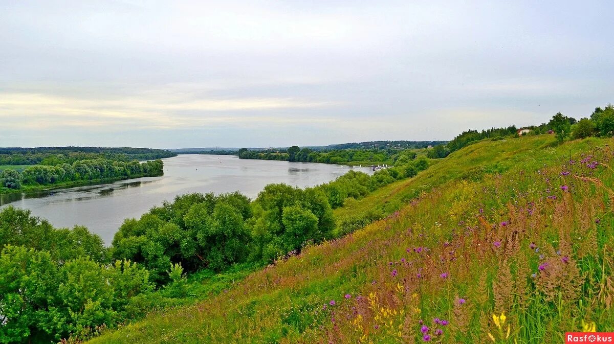 Река клязьма обрывистый берег. Высокий обрывистый берег волги кашинский район. Скалистые берега реки томь. Река омка омская область. На крутом берегу реки.