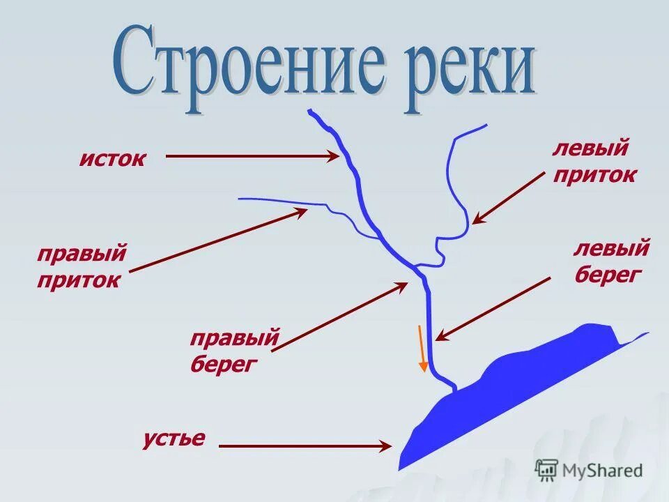 Приток пример. Схема реки исток приток устье. река исток русло схема. схема рек исток устье правый приток. исток реки устье реки правый берег левый берег рисунок.