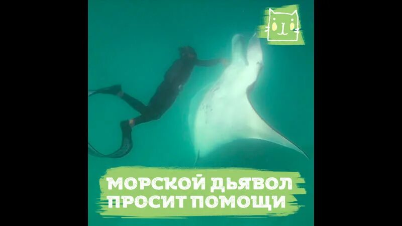 Пенсия для морского дьявола 2 полностью. Морские дьяволы ядовитое облако. Караоке морской дьявол. Морские дьяволы Скорпион.