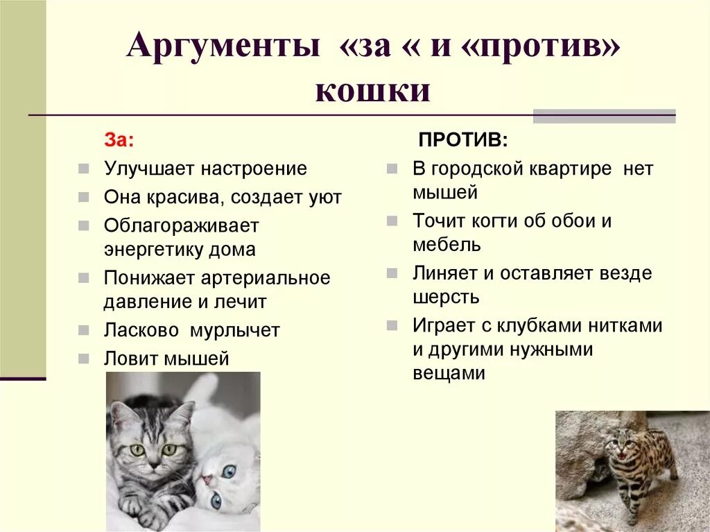 Содержание диких животных за и против. Аргументы за и против животных. Плюсы и минусы кошек. Аргументы кошки. Аргументы за.