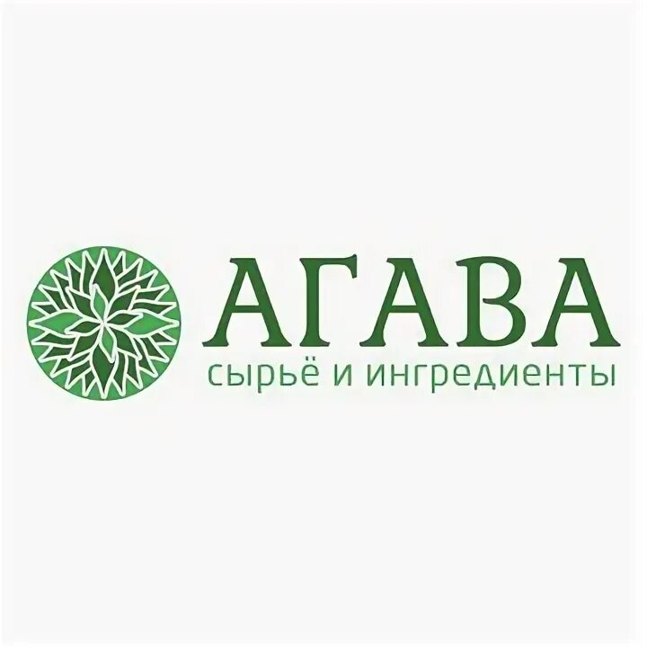 Агава гвадалахарская. Магазин агава каталог товаров. Агава казань каталог обоев. Логотип агава одежда. Агава без фона.
