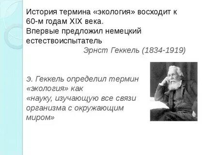 Термин экология впервые ввел в науку