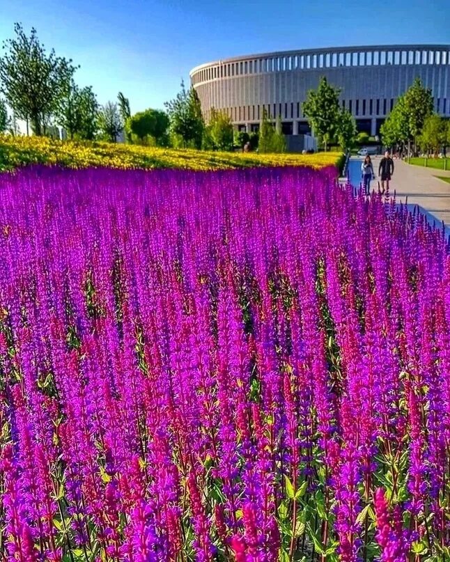 Парк галицкого в краснодаре весной. Парк галицкого в краснодаре 2022. Парк горицкого в краснодаре. Сад галицкого в краснодаре. Кисловодск – курортный парк.