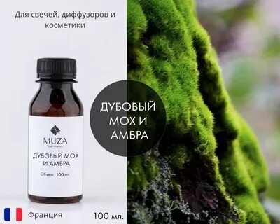 Запах мха