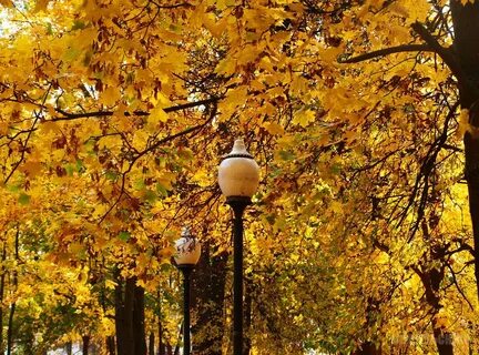 Подольск золотой