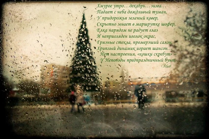 текст хмурое утро