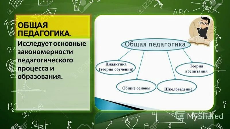 Область педагогики исследующая процесс обучения. Область педагогики исследующая процесс обучения. Что исследует общая педагогика. Область педагогики исследующая процесс обучения. Отрасли общей педагогики.
