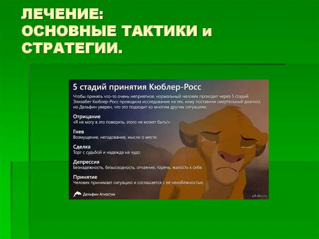 Несколько этапов принятия. Кюблер Росс стадии принятия неизбежного. Стадия принятия по Элизабет Кюблер-Росс. Стадии по Кюблер Росс. Кюблер-Росс 5 стадий принятия.