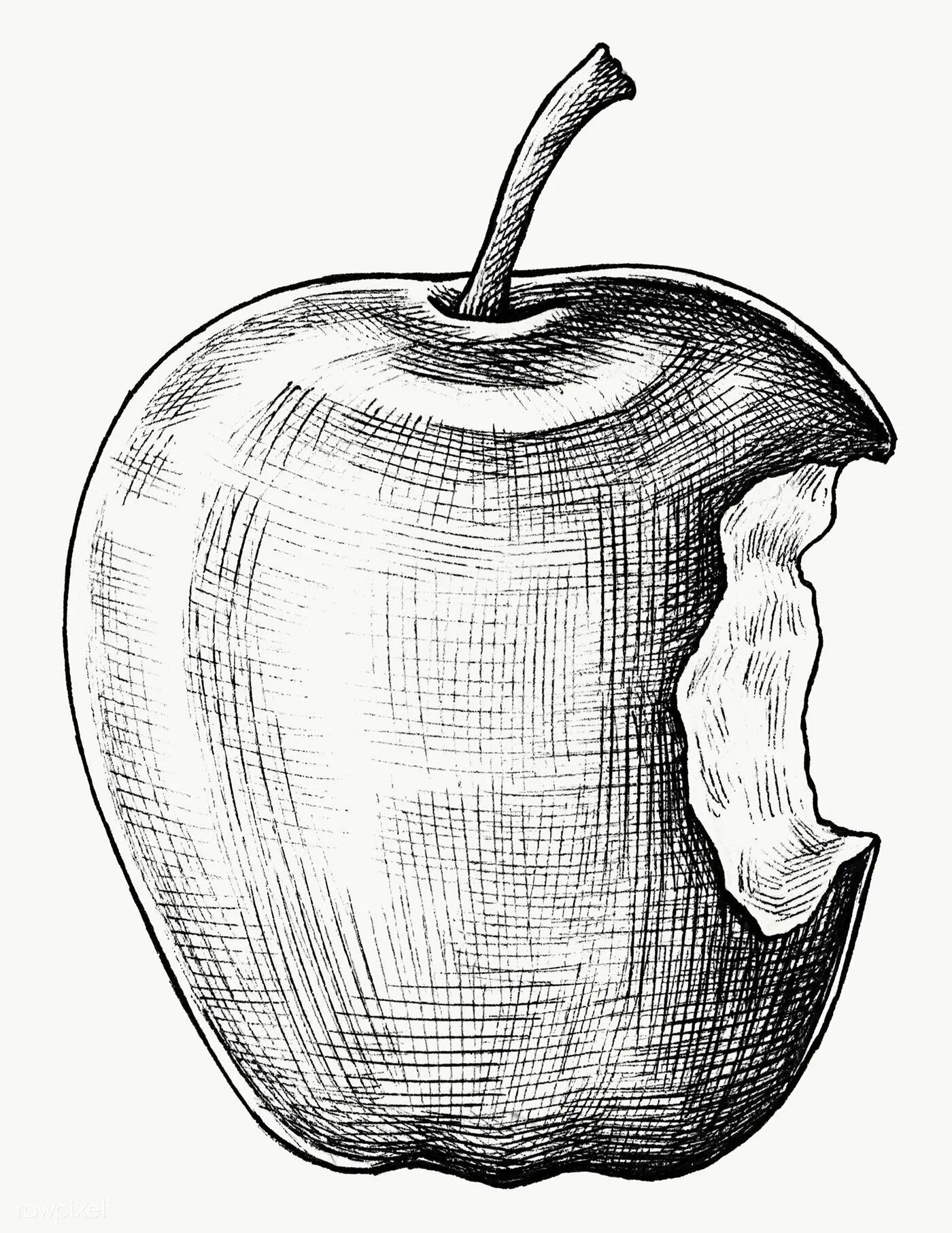 Яблоко нарисованное