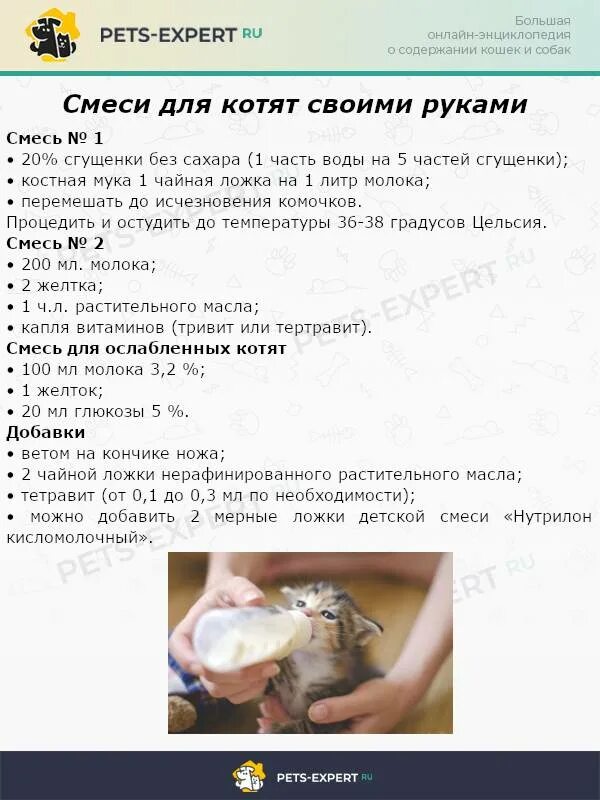 В каком возрасте можно отдавать котят. Когда можно забирать котенка от кошки. через сколько можно забирать котят. в каком возрасте забирают котят. во сколько месяцев можно забирать котенка от кошки.