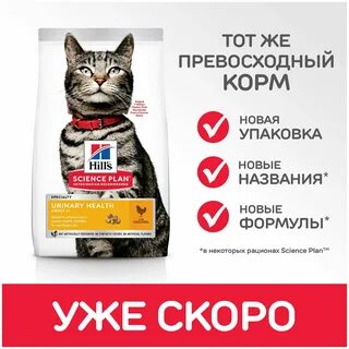 Корм для кошек здоровье