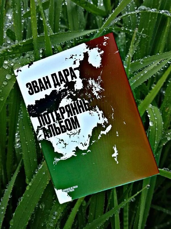 странные издательства. сказки гамаюн комикс. янг тени в море. странные издательства. сказки гамаюн.